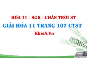 Giải Hóa 11 Chân trời Sáng tạo trang 107
